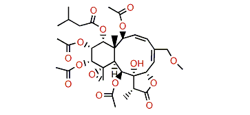 Gemmacolide BC